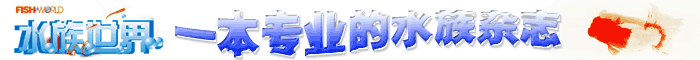 ˮ��������־-һ��רҵ��ˮ����־