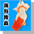 forumlogo