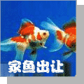 forumlogo