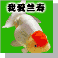 forumlogo